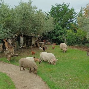 Fattoria Tana della Volpe agriturismo stays abruzzo l'aquila