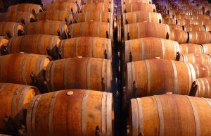 best wineries abruzzo vineyard